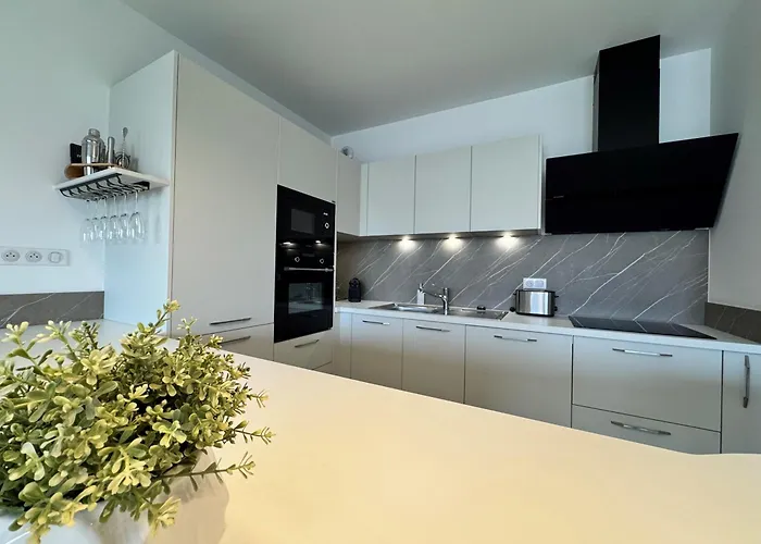 225, Coral A La De La Conque *